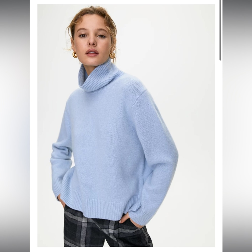 Aritzia Wilfred Jara Cashmere Turtleneck